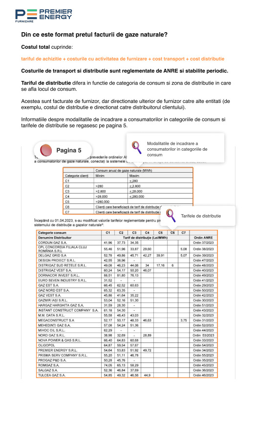 Ghid factura GN 3